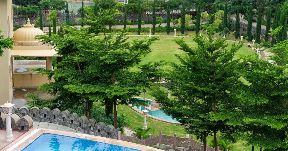 Farmstay vs Resort vs Airbnb — Which is Actually Worth It?