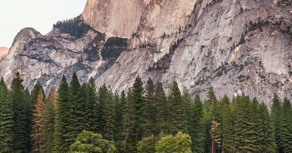 Farmstays Near Coimbatore — A Complete Guide (2026)