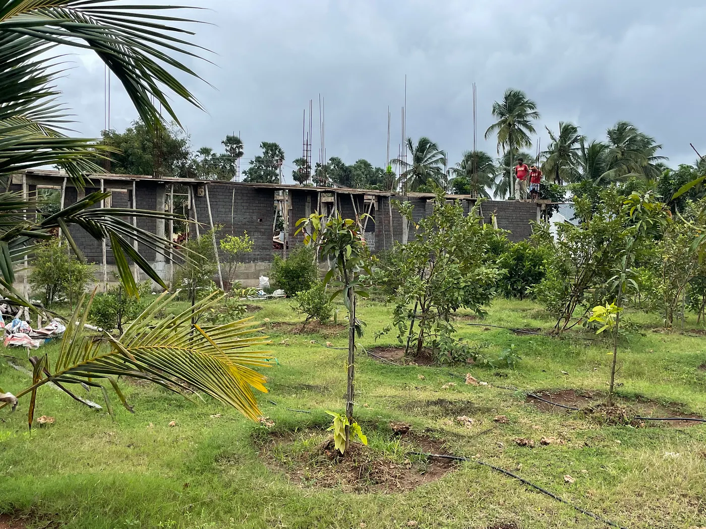 Footprints in the Soil: The Story of Serene Windsor