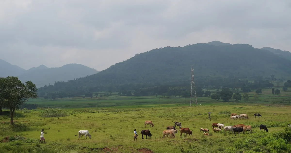 Slow Travel in Tamil Nadu — Why Farmstays Are the New Resorts